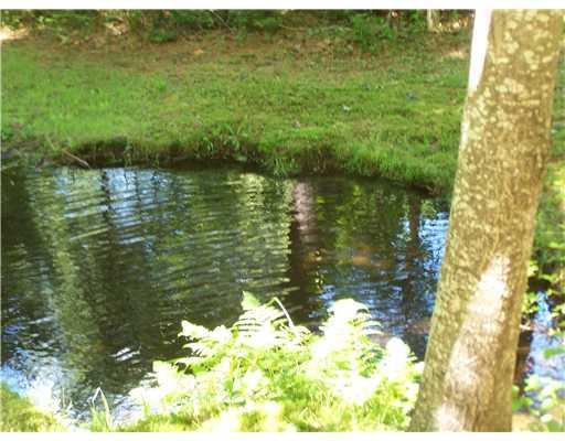 424 River Road Standish, ME 04084 - Photo 24 of 24 Yard/Garden.