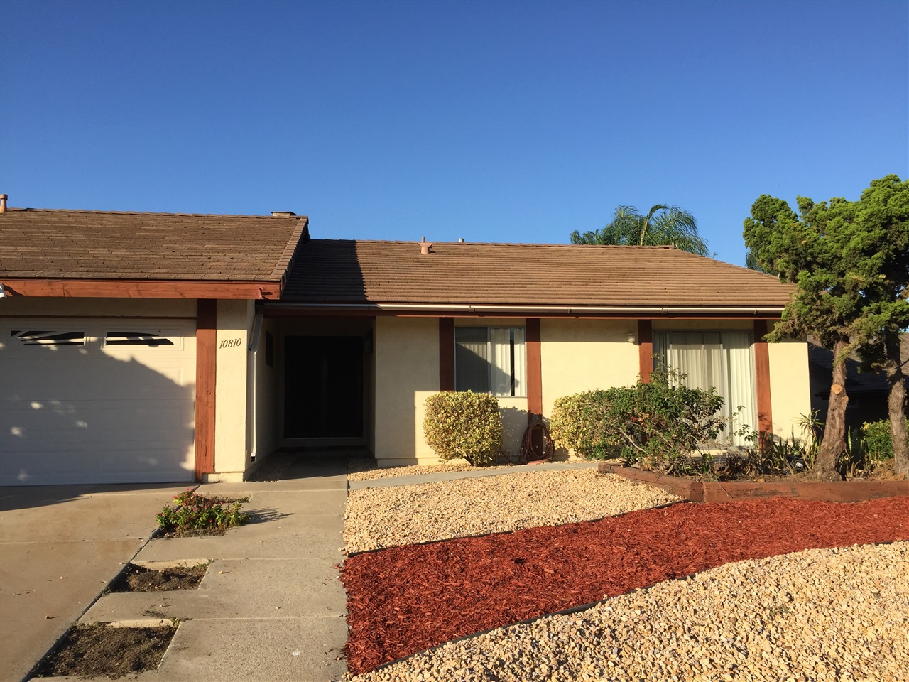 10810 Avenida Roberta Spring Valley, CA 91978 - Photo 4 of 25 EASY CARE, DROUGHT TOLERANT YARD WITH JUNIPER AND FICUS TREES IN FRONT AND BACK