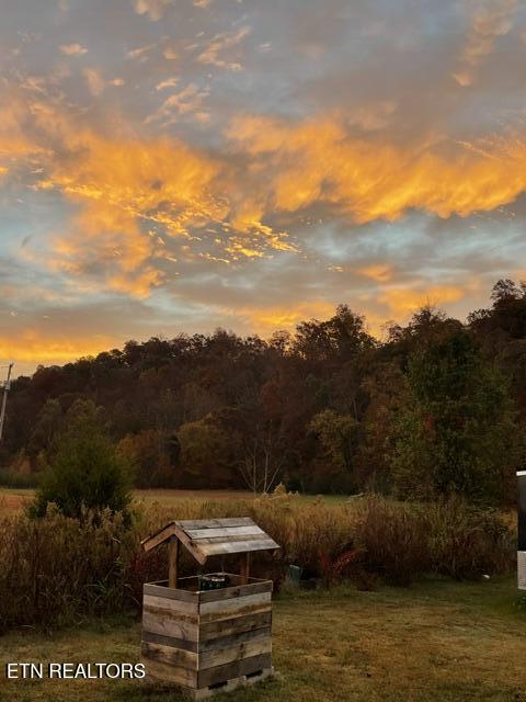 149 Sweetwater Road Philadelphia, TN 37846 - Photo 25 of 25 IMG_3174