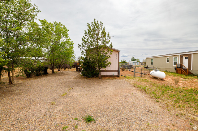 740 Riddle Drive Fredonia, AZ 86022 - Photo 14 of 20 Expansive gravel driveway with mature trees and shrubbery, featuring a detached shed and a fenced area