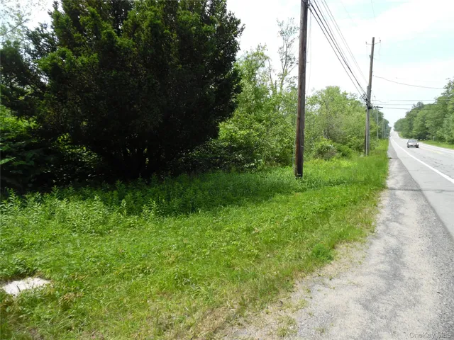 a view of lush green space