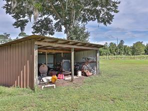 504 Raulerson Road Seville, FL 32190 - Photo 19 of 40