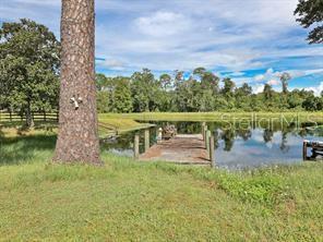 504 Raulerson Road Seville, FL 32190 - Photo 9 of 40
