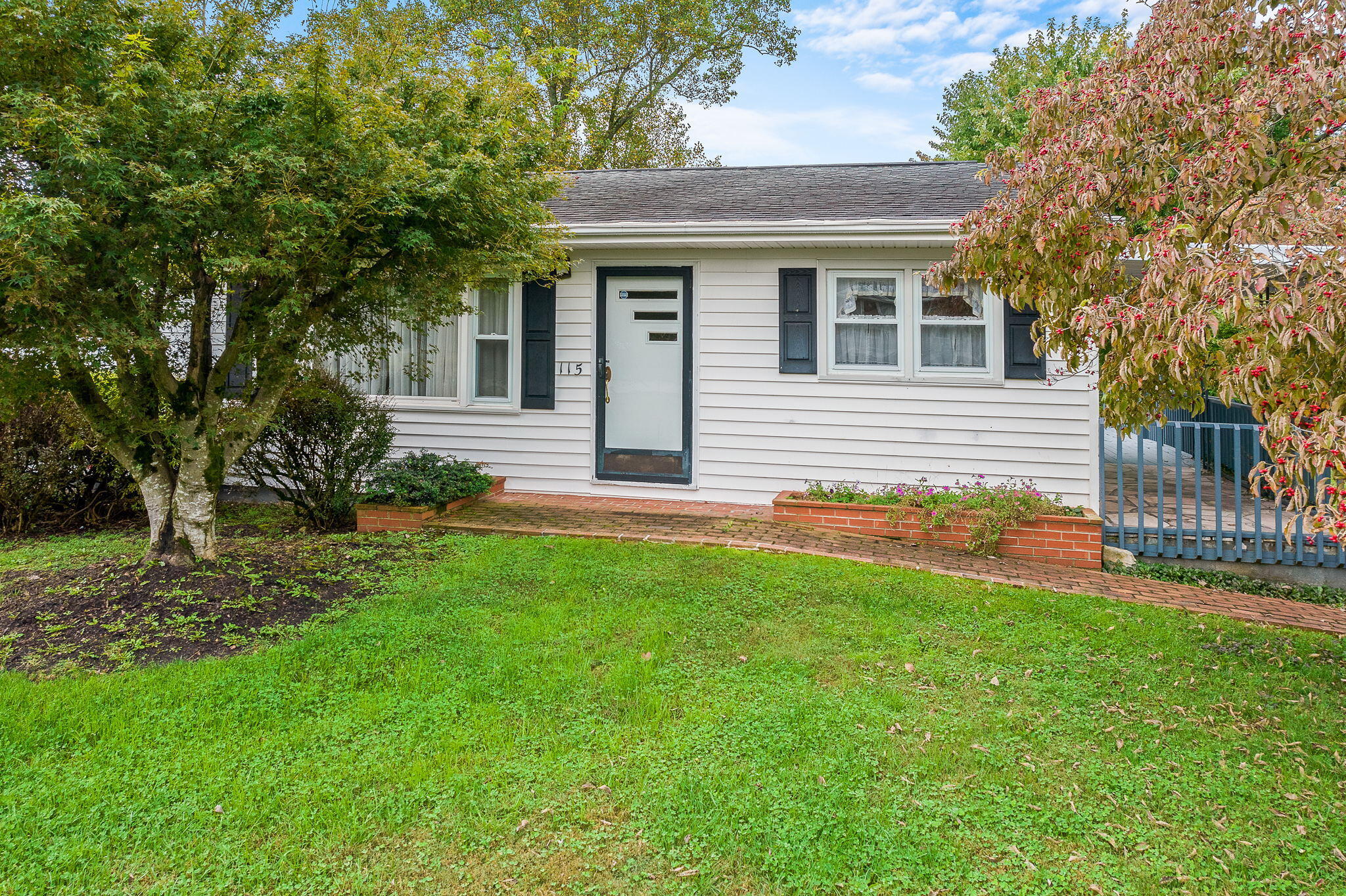 115 Reed Avenue Greeneville, TN 37743 - Photo 1 of 27 1-web-or-mls-Reed Ave 5