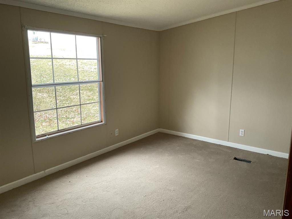 2807 Otten Road Millstadt, IL 62260 - Photo 17 of 21