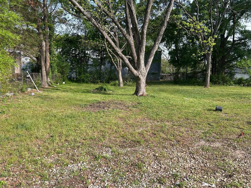 213 East Shockley Ferry Road Anderson, SC 29624 - Photo 6 of 20 A verdant parcel of land awaits your vision.