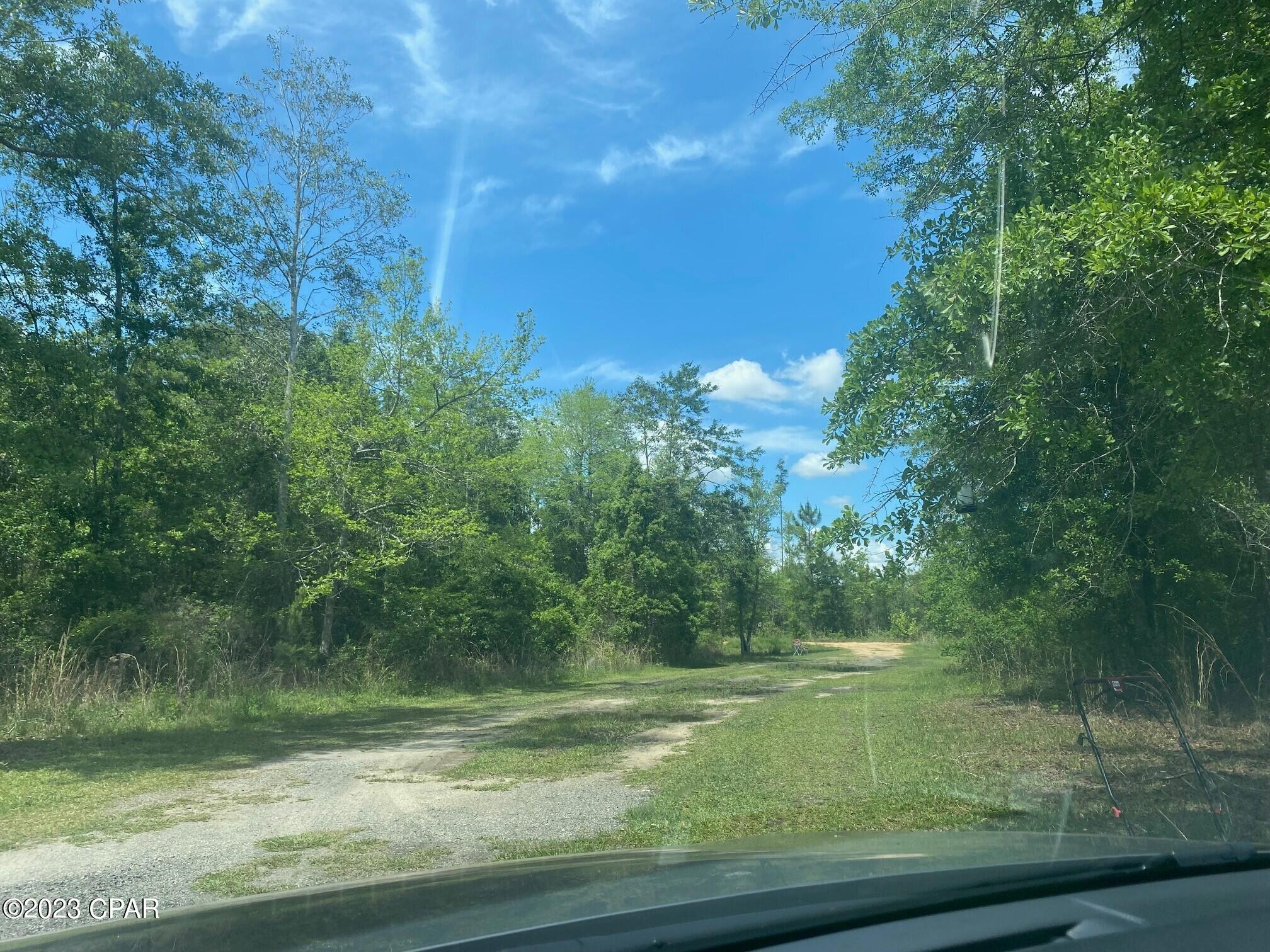 1397 Bentley Road Cottondale, FL 32431 - Photo 7 of 17