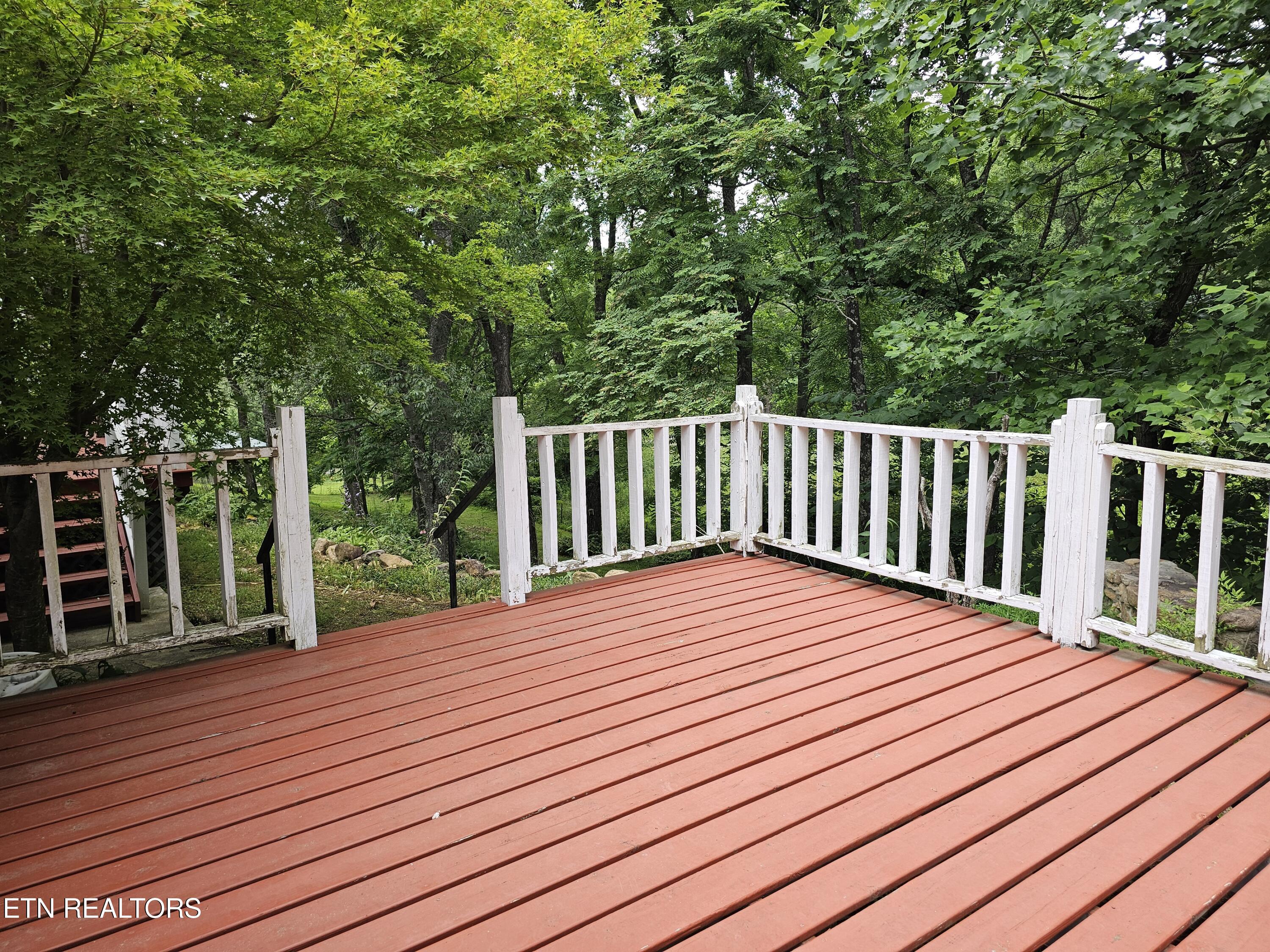 925 Tweed Springs Road Greeneville, TN 37743 - Photo 21 of 53 20260618_172817