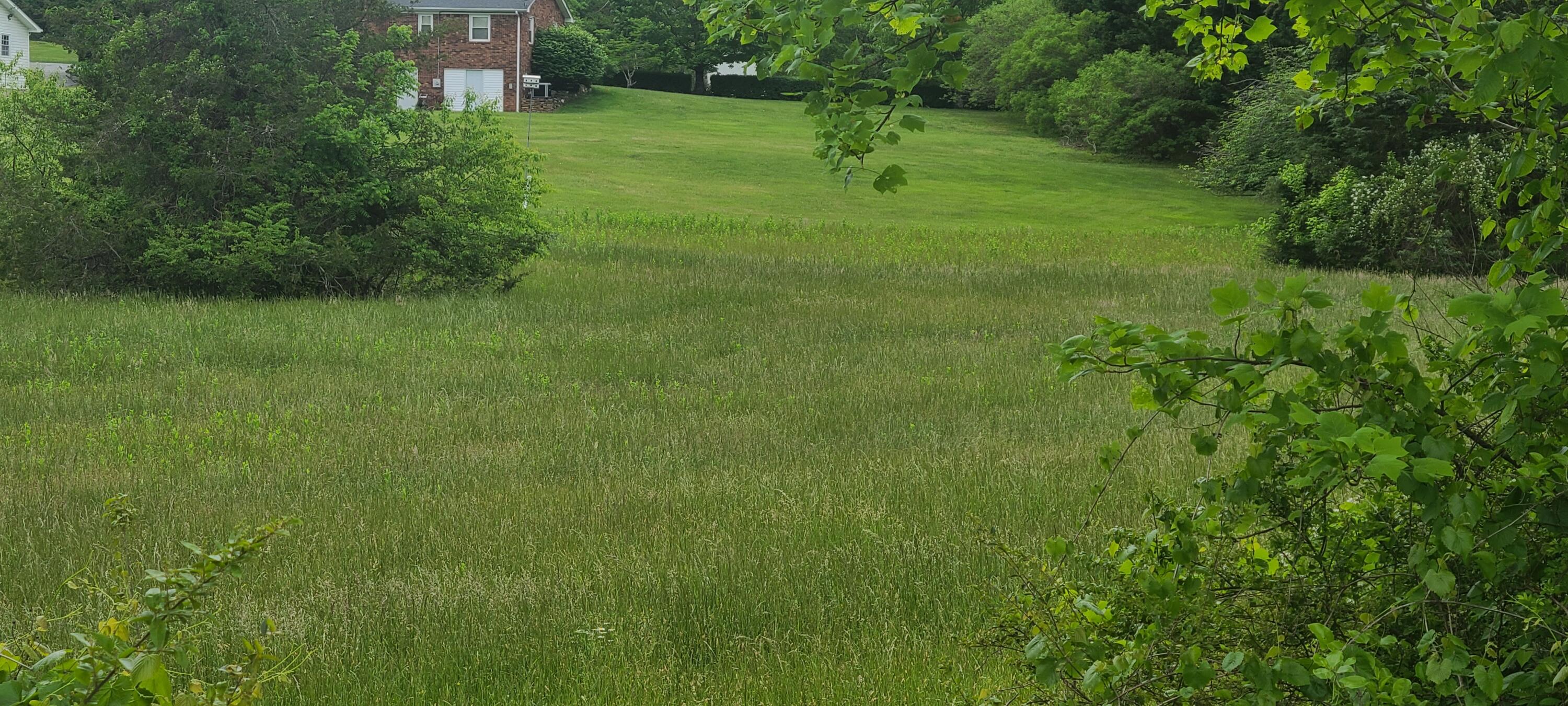 Lot 8 Edwardsville Road Hardy, VA 24101 - Photo 5 of 7 1000003238