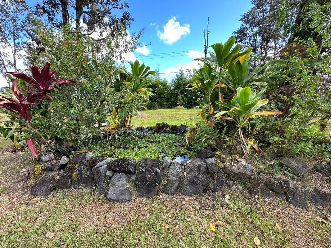 16-1788 Uhini Ana Road Pahoa, HI 96778 - Photo 10 of 30 Gallery Image 10