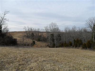 2220 Harris Ferry Road Irvine, KY 40336 - Photo 5 of 8 Photo 5