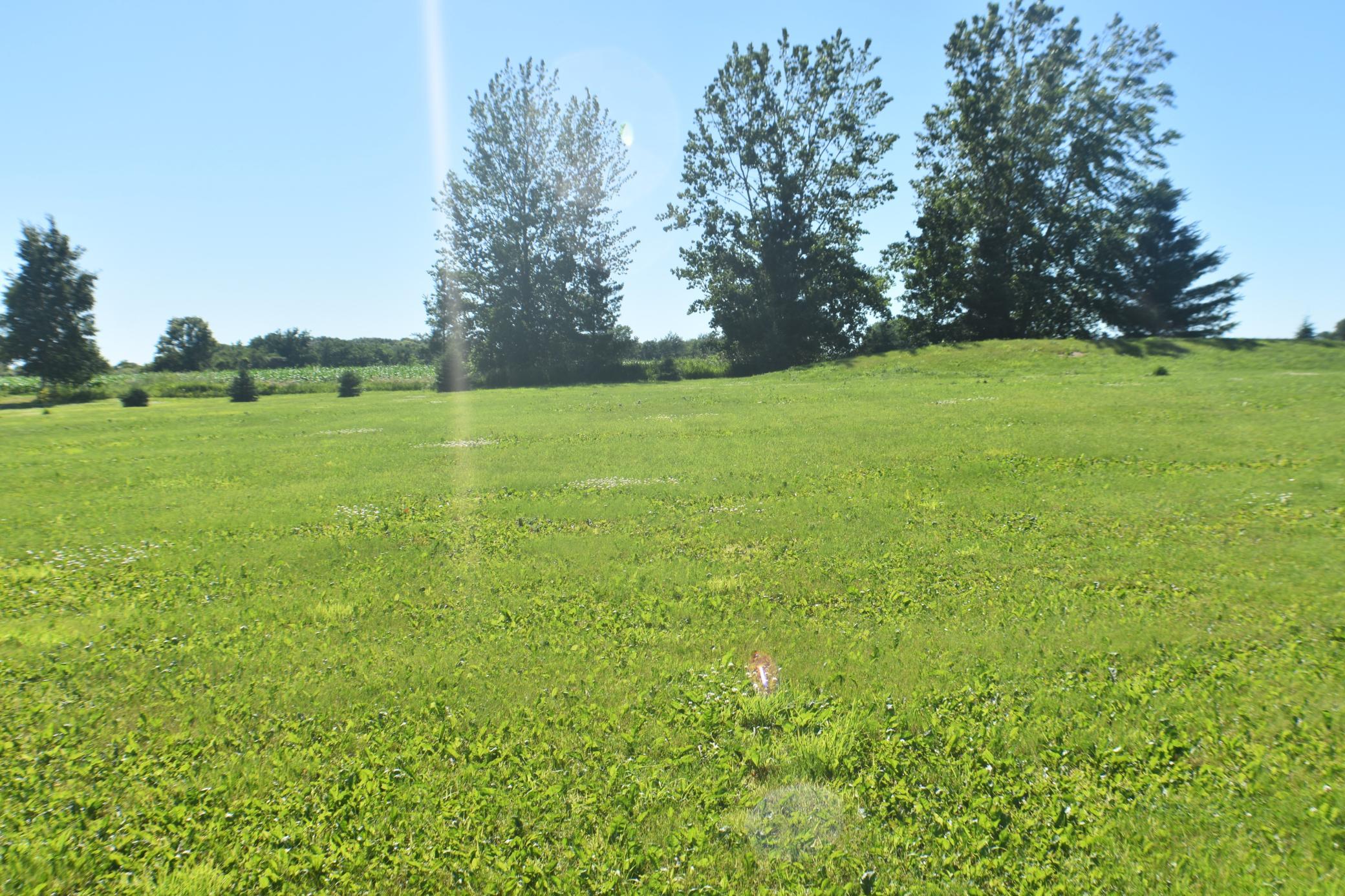 1342 Calvary Road Southeast Osakis, MN 56360 - Photo 4 of 29