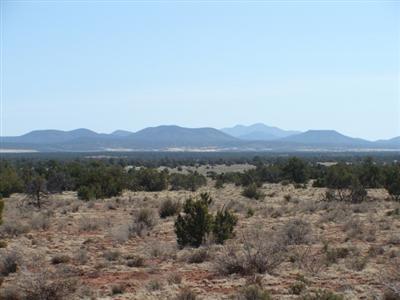 0 South Rim Ranch Williams, AZ 86046 - Photo 1 of 2 Primary Photo