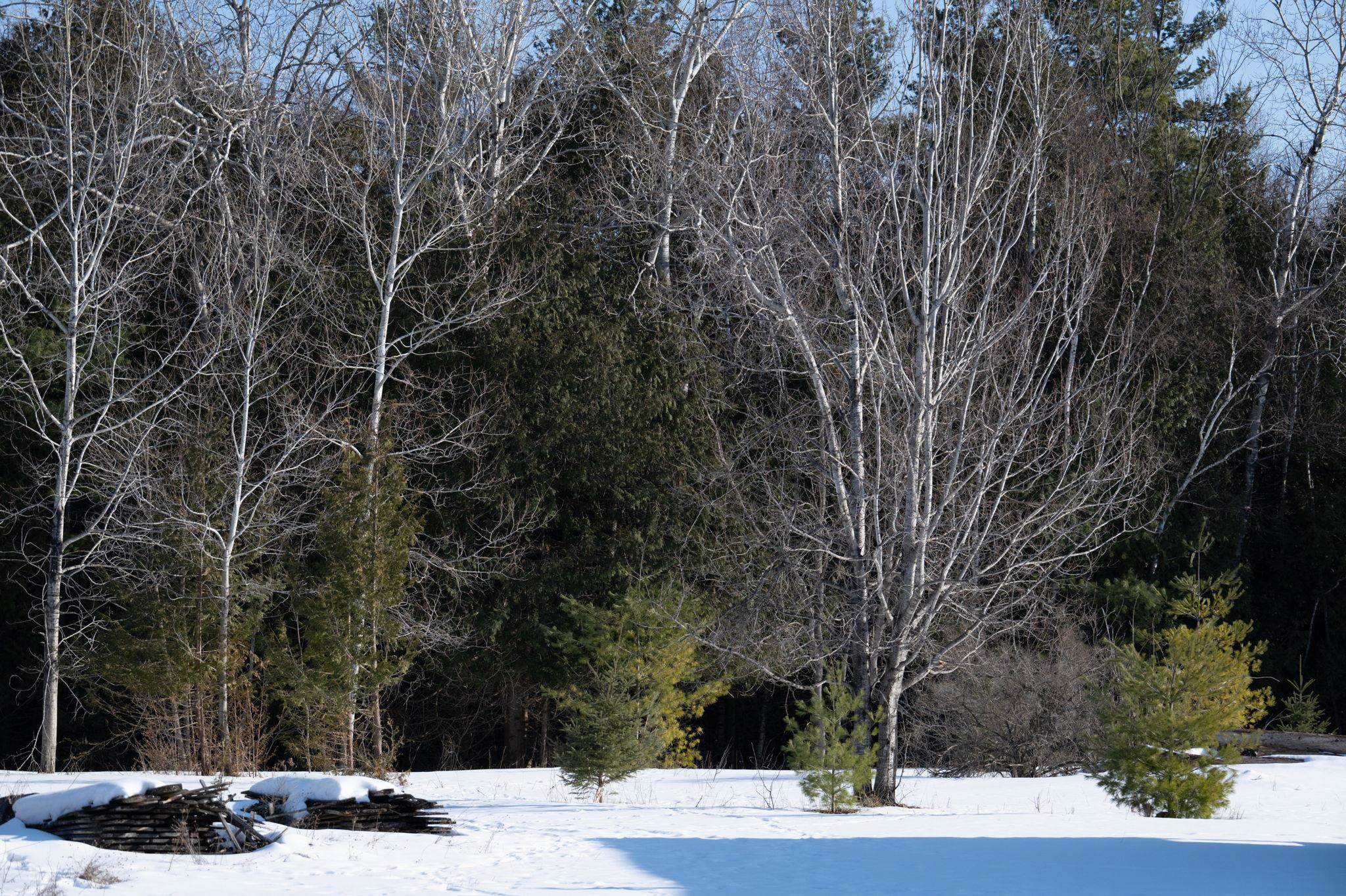 County Road, Unit 31 Fish Creek, WI 54212 - Photo 3 of 8
