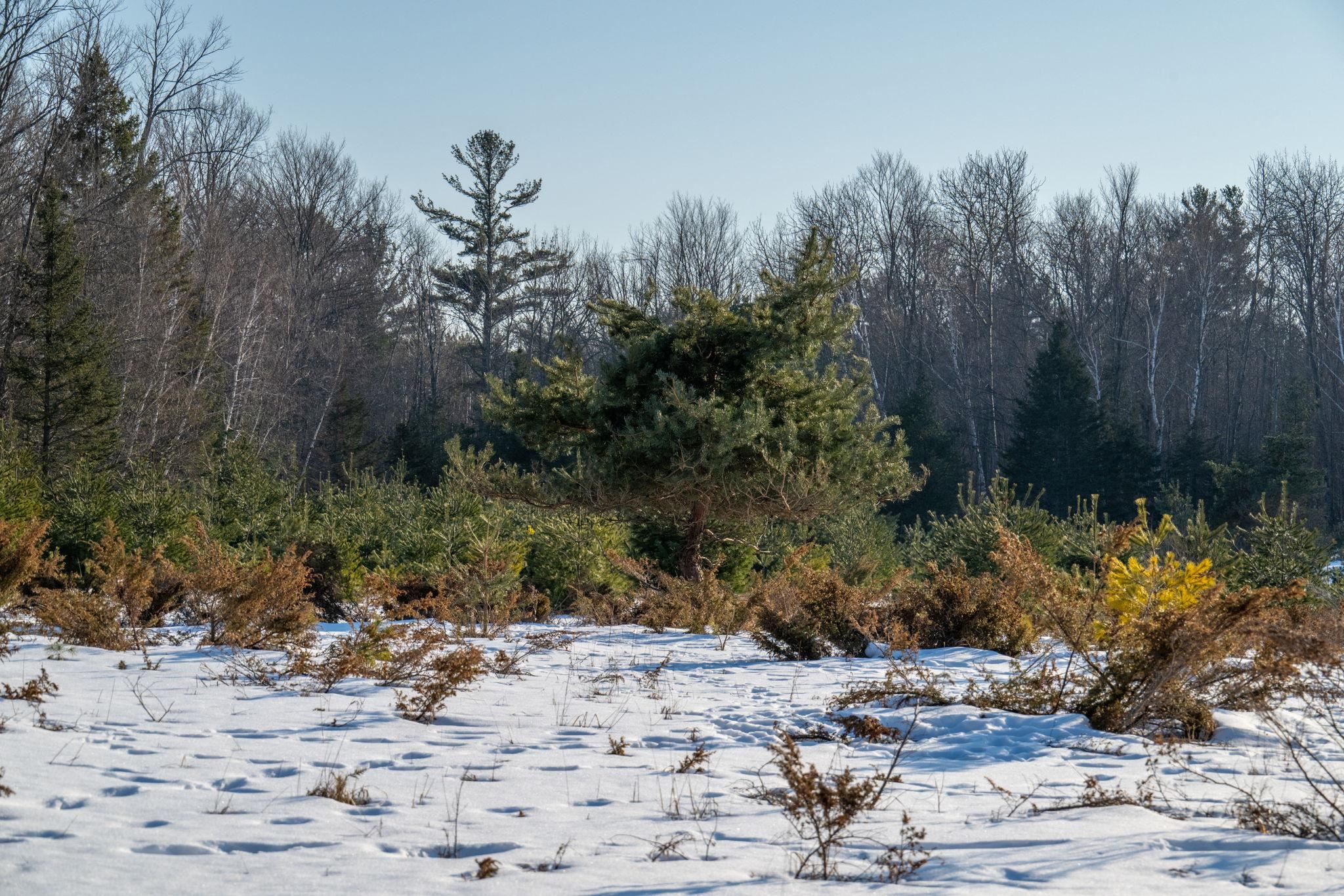 County Road, Unit 31 Fish Creek, WI 54212 - Photo 4 of 8