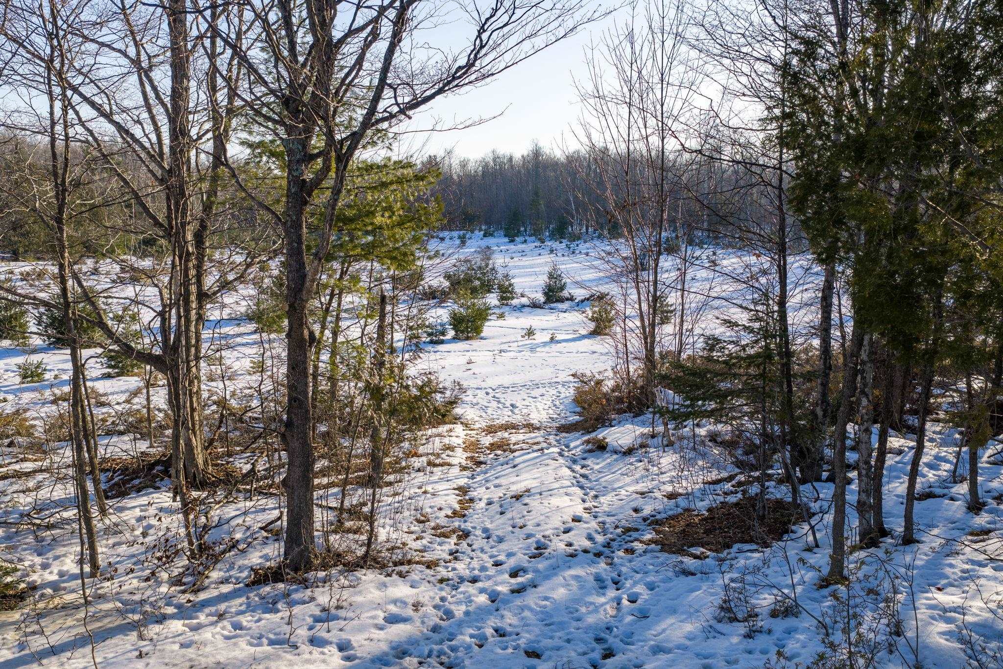 County Road, Unit 31 Fish Creek, WI 54212 - Photo 6 of 8
