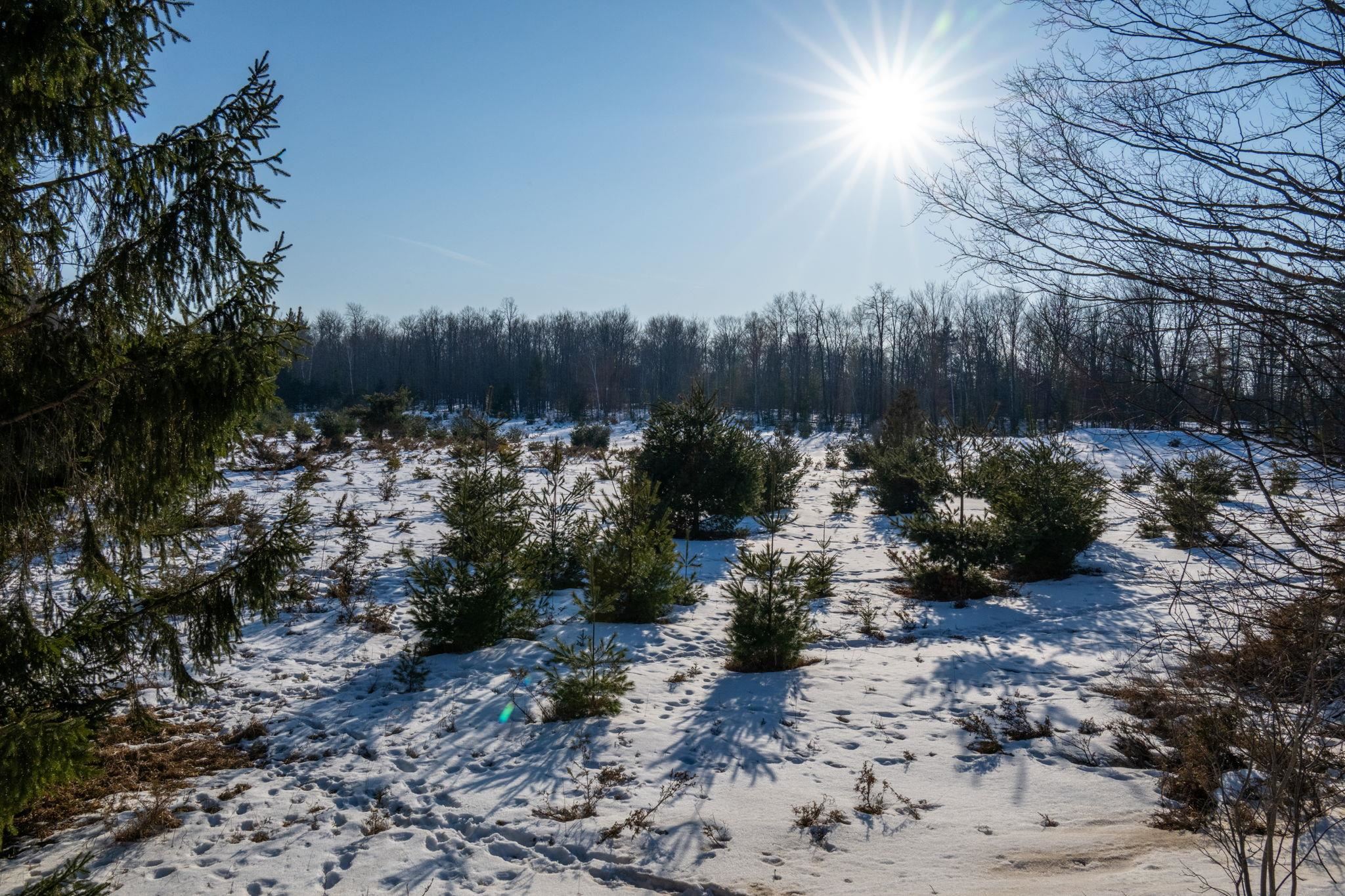 County Road, Unit 31 Fish Creek, WI 54212 - Photo 7 of 8