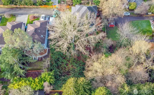 a view of a yard with a tree