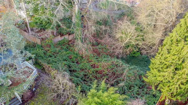 a view of a lush green forest with lots of trees