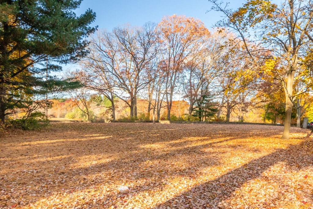 15 Brainard Street Boston, MA 02136 - Photo 18 of 19