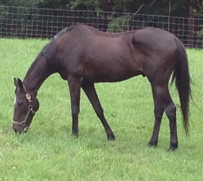 7 Northedge Road Hamilton, MA 01982 - Photo 41 of 42