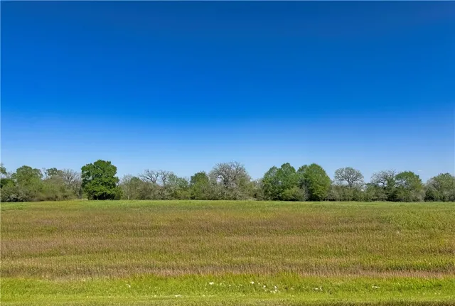 $124,000 | 10196 Panther Creek Road, Iola, TX 77861