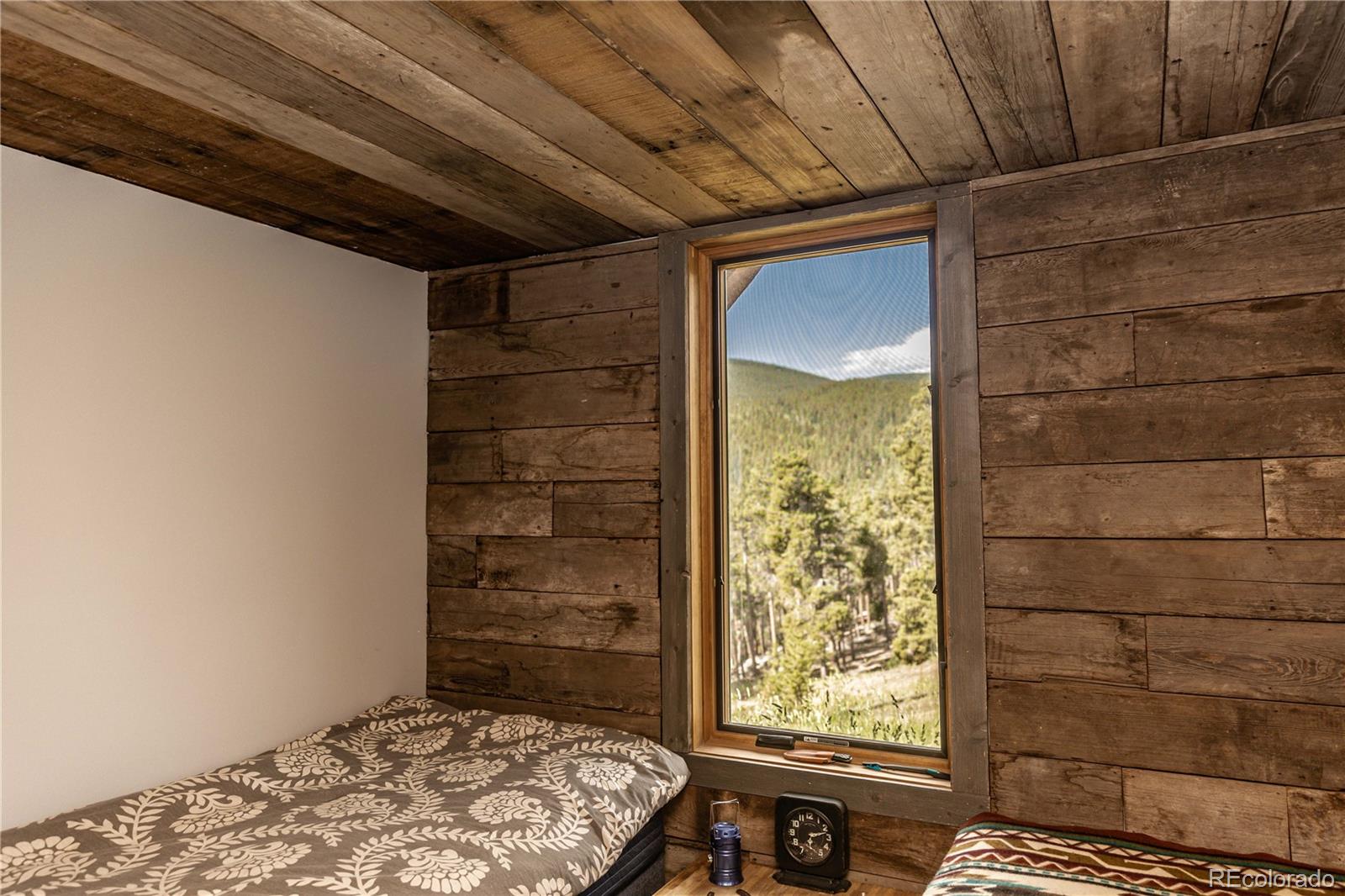 Camp Creek Road Bailey, CO 80421 - Photo 14 of 40