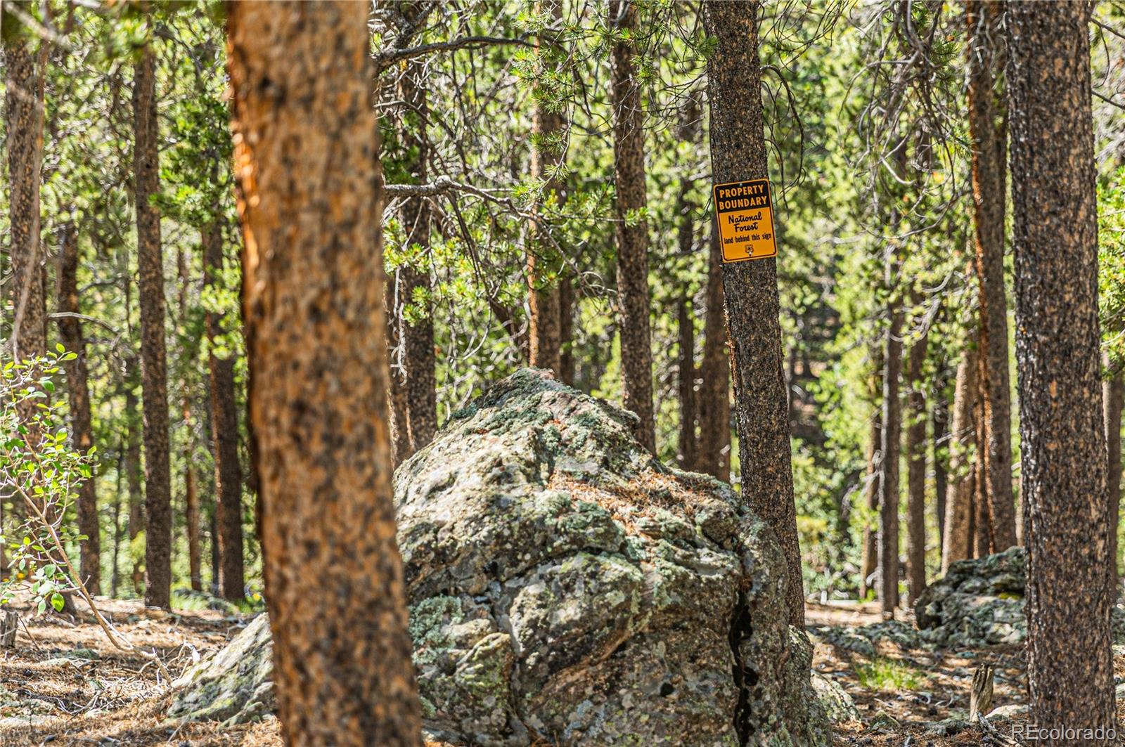 Camp Creek Road Bailey, CO 80421 - Photo 24 of 40