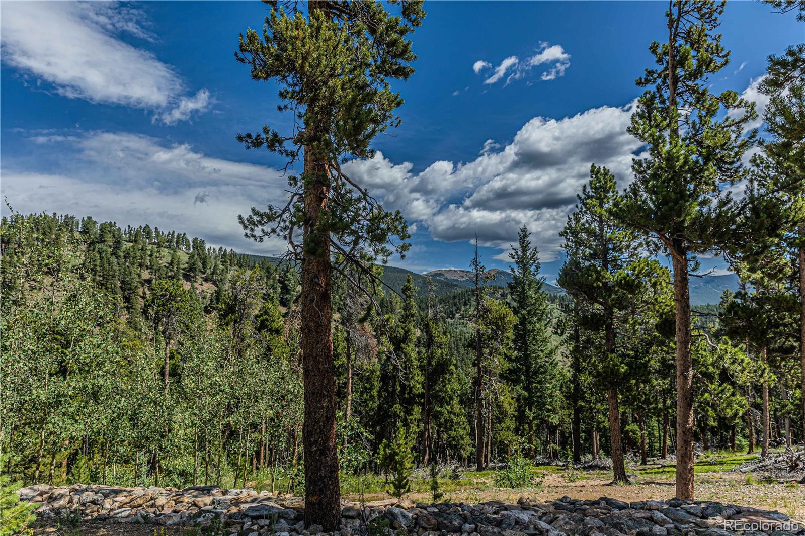 Camp Creek Road Bailey, CO 80421 - Photo 25 of 40