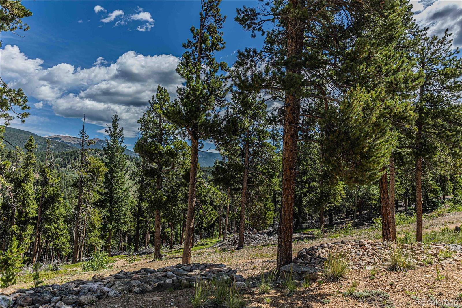 Camp Creek Road Bailey, CO 80421 - Photo 26 of 40