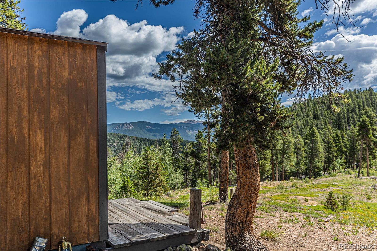 Camp Creek Road Bailey, CO 80421 - Photo 28 of 40