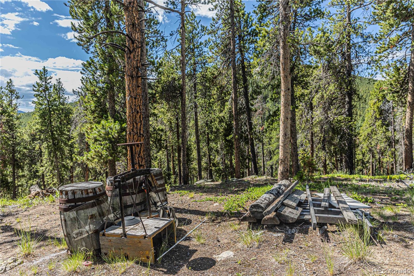 Camp Creek Road Bailey, CO 80421 - Photo 29 of 40