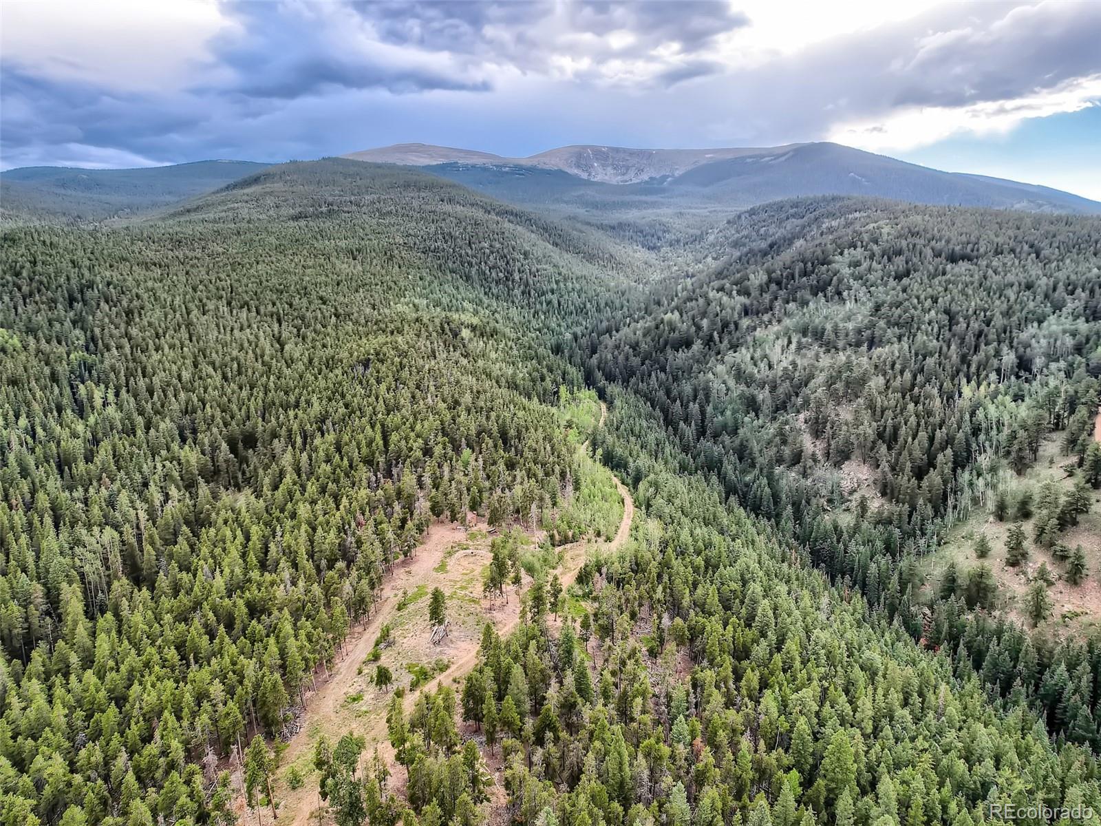 Camp Creek Road Bailey, CO 80421 - Photo 39 of 40