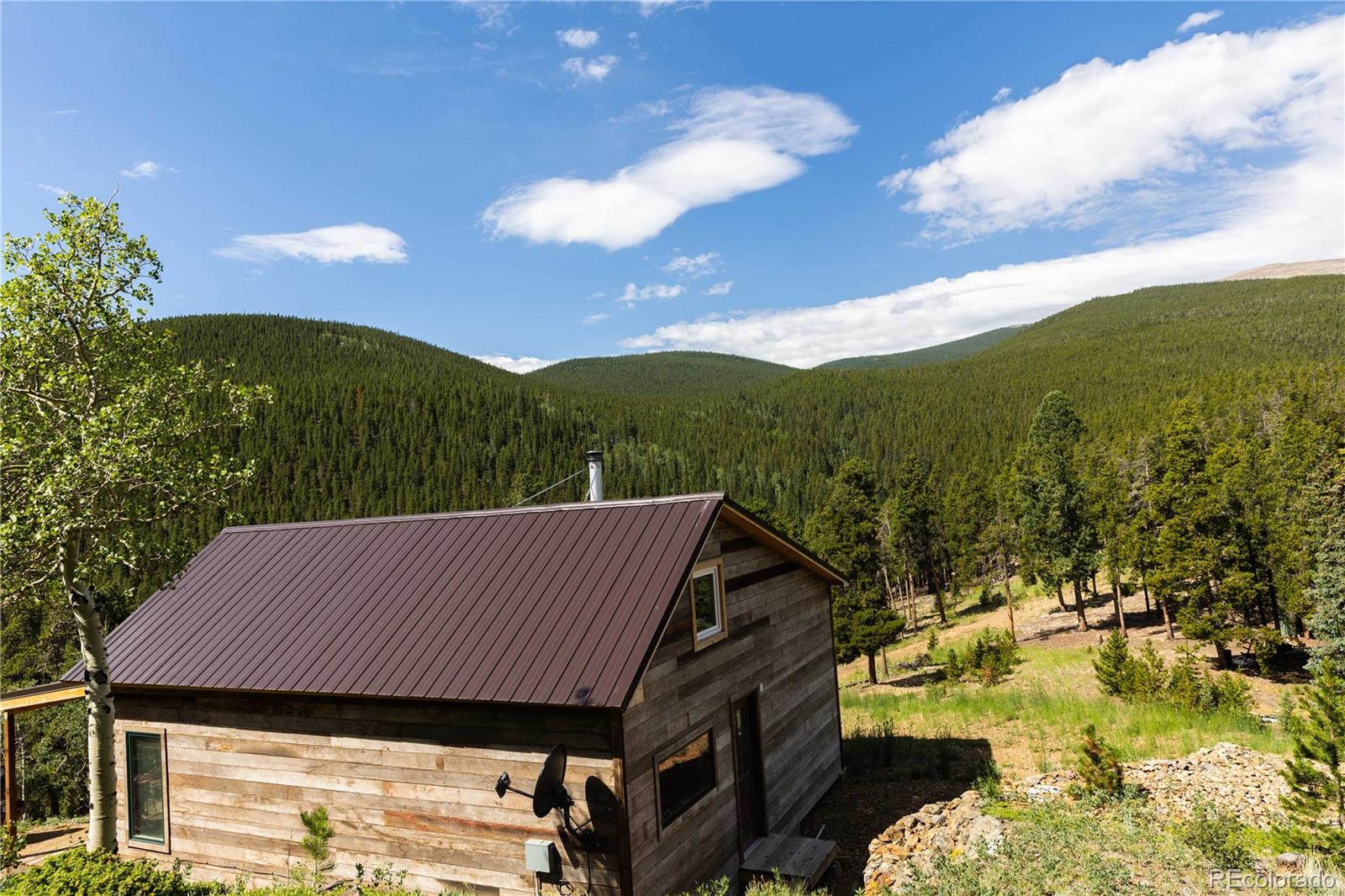 Camp Creek Road Bailey, CO 80421 - Photo 6 of 40
