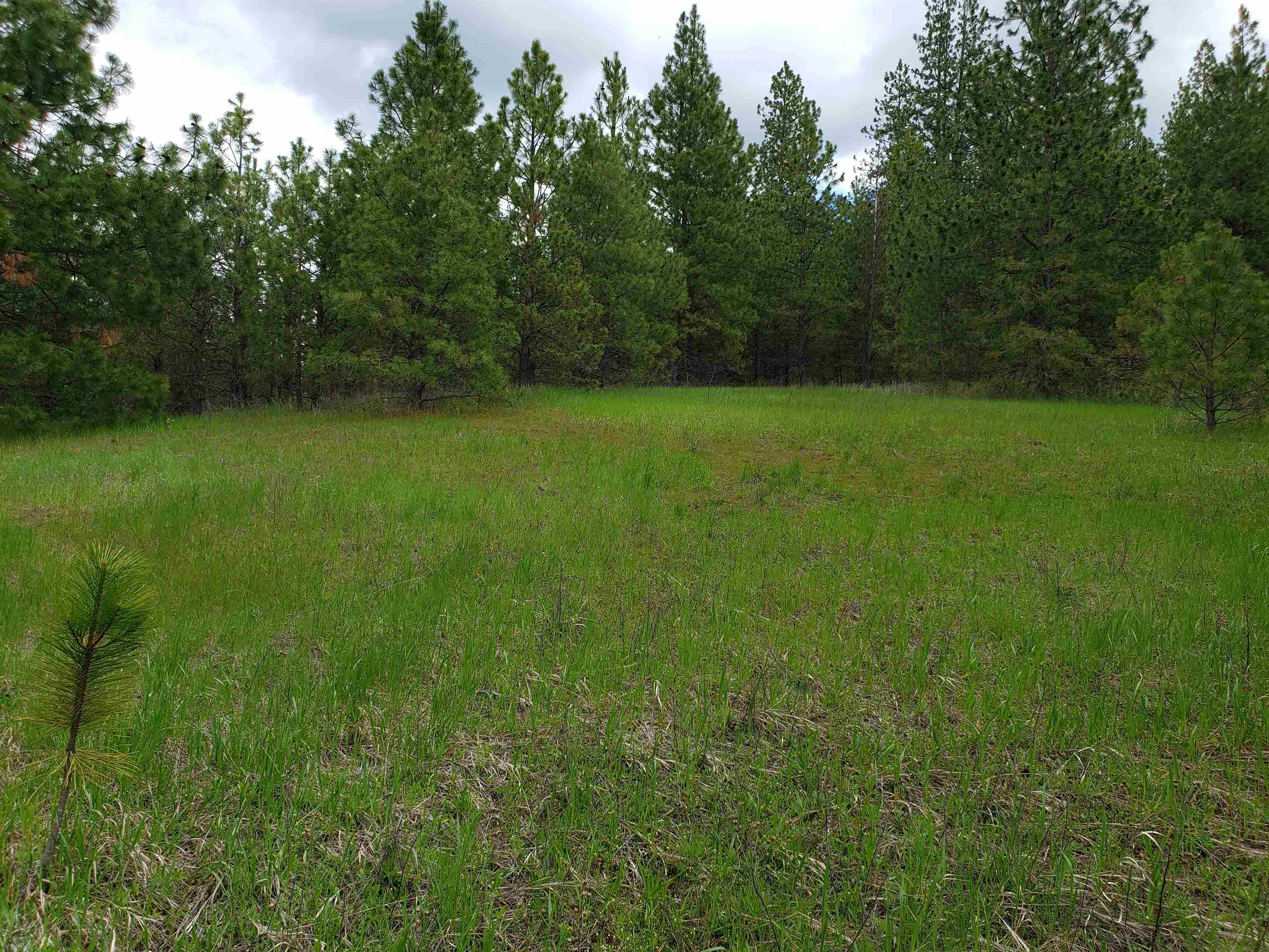 Nka East Belmont Road Mica, WA 99023 - Photo 1 of 18