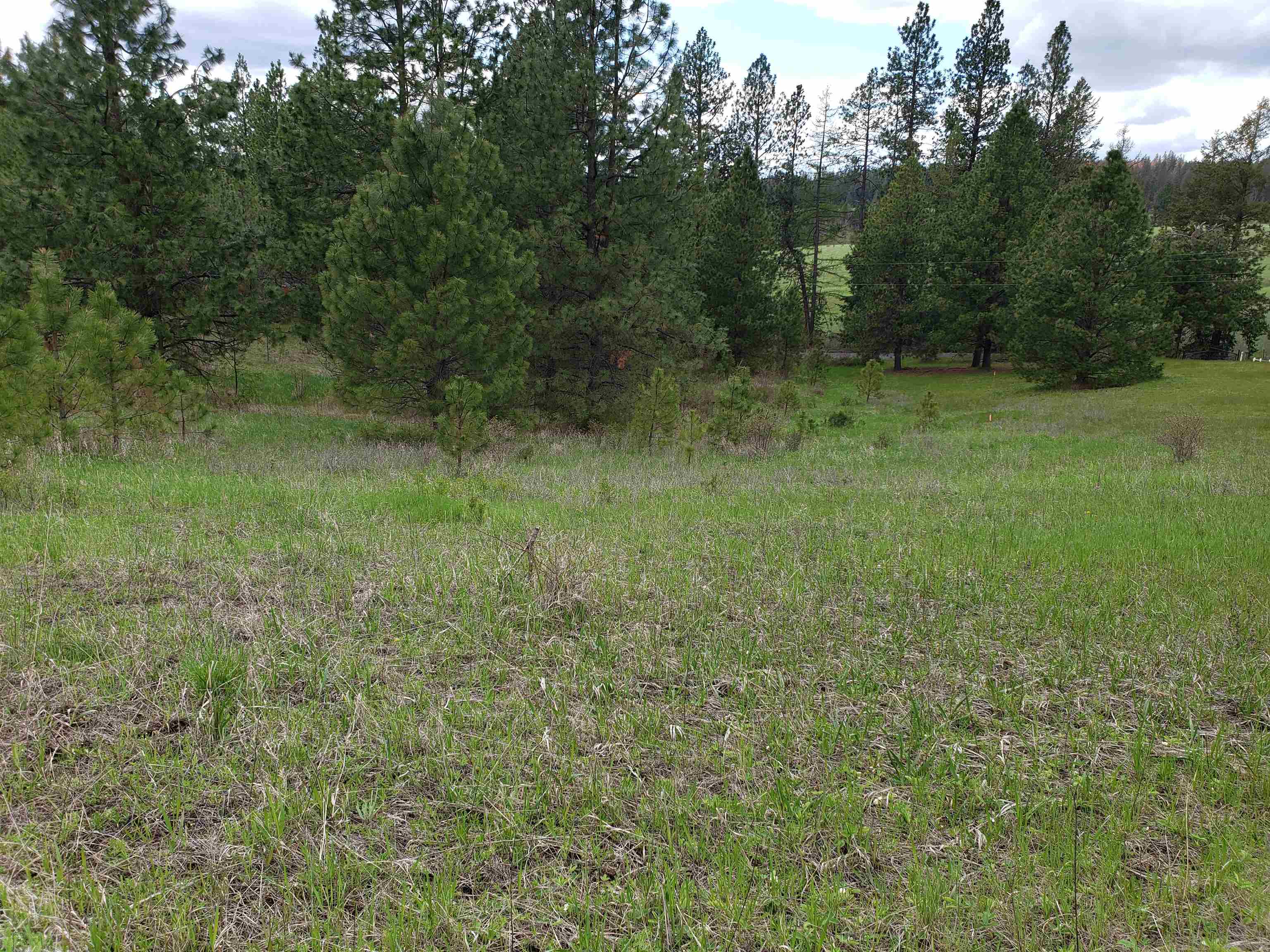 Nka East Belmont Road Mica, WA 99023 - Photo 14 of 18