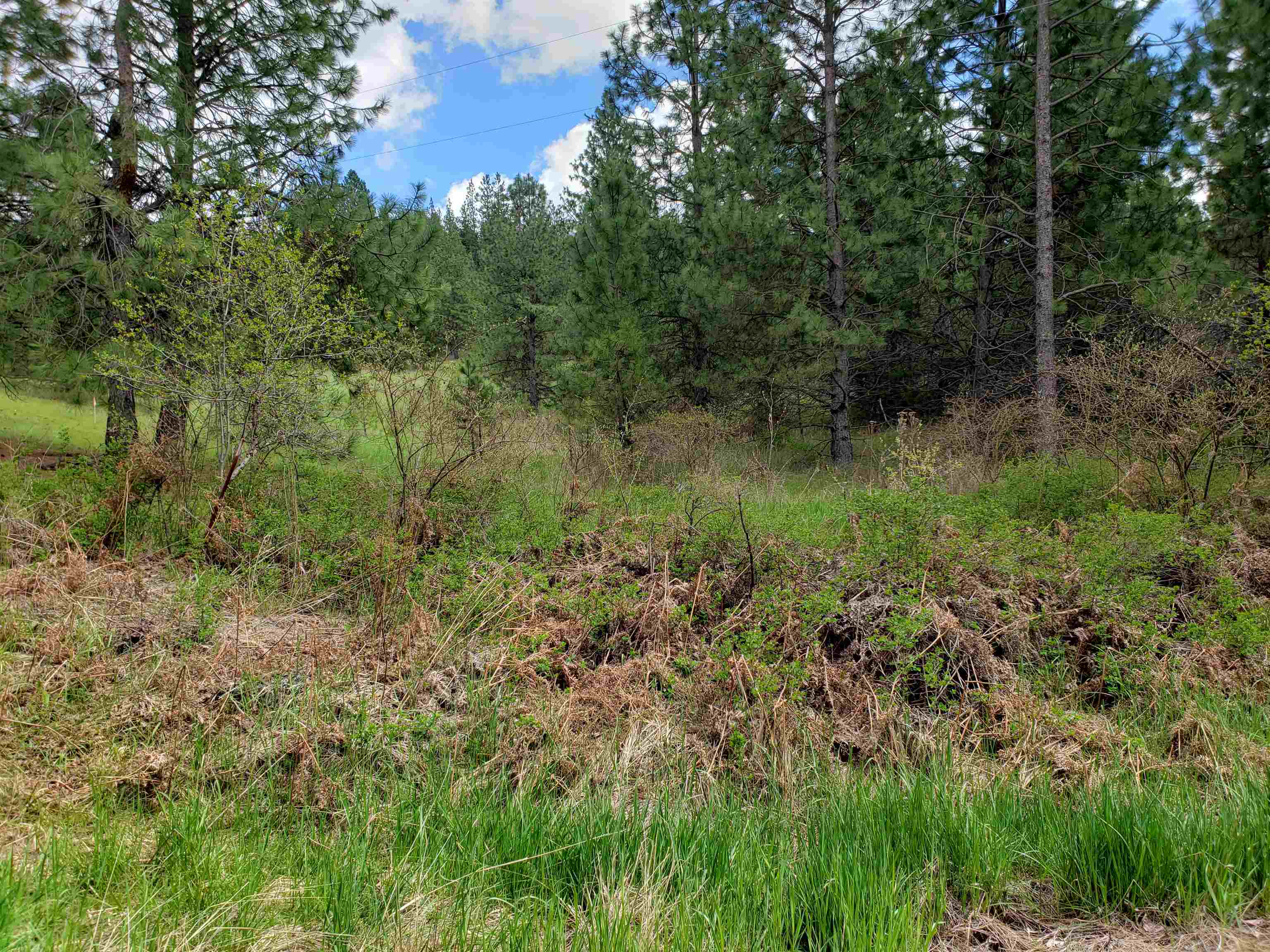 Nka East Belmont Road Mica, WA 99023 - Photo 4 of 18