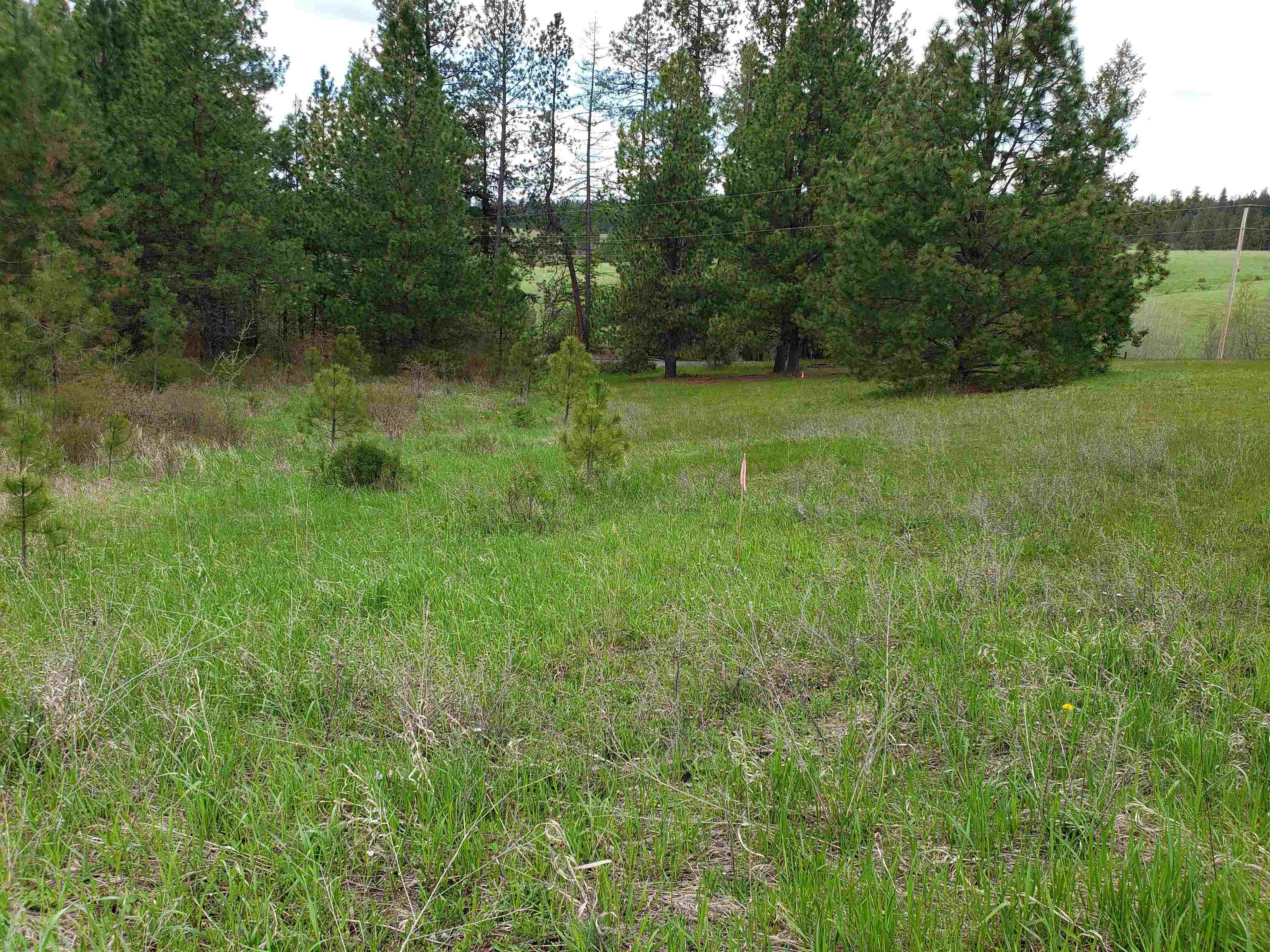 Nka East Belmont Road Mica, WA 99023 - Photo 5 of 18
