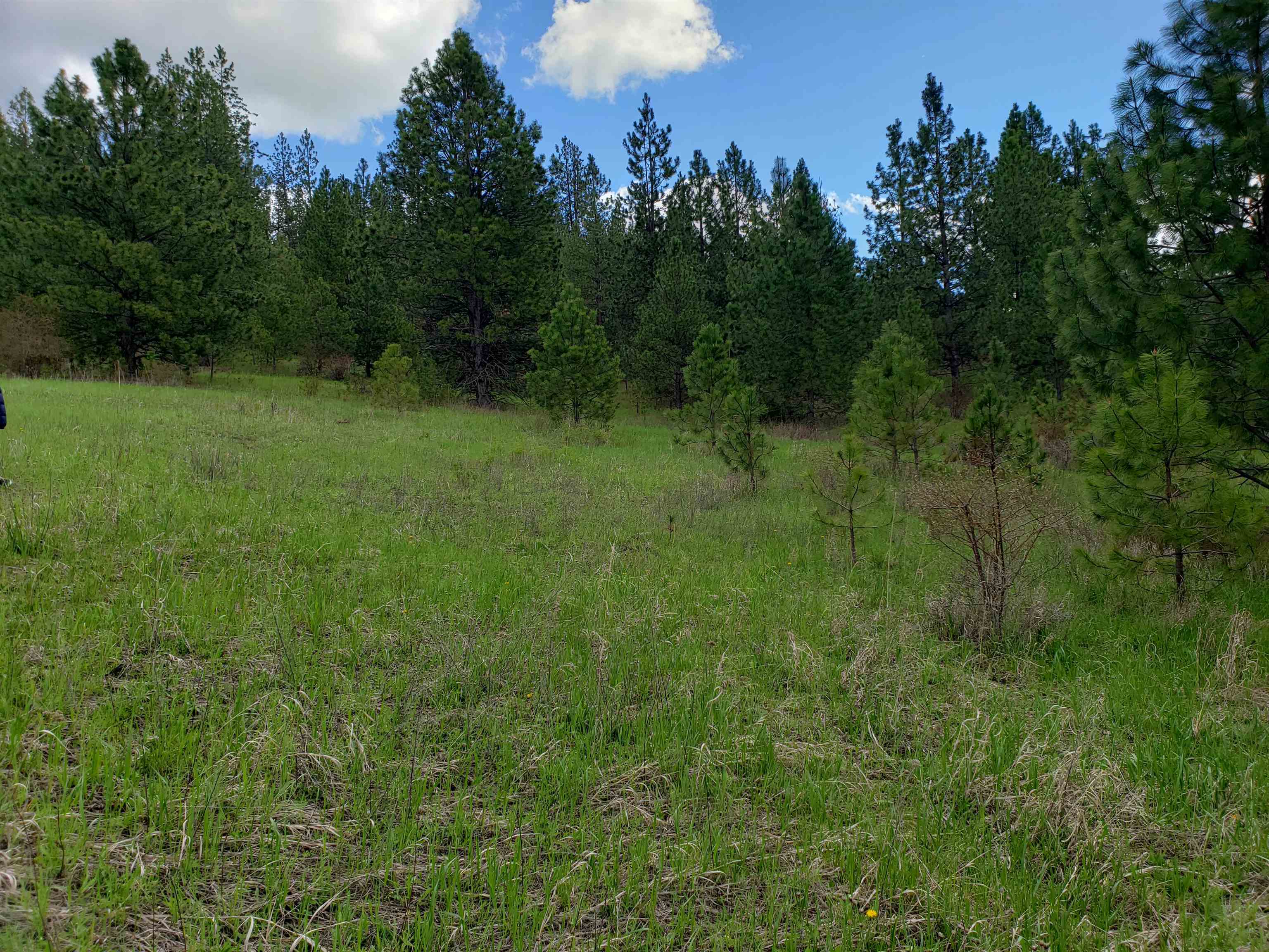 Nka East Belmont Road Mica, WA 99023 - Photo 6 of 18