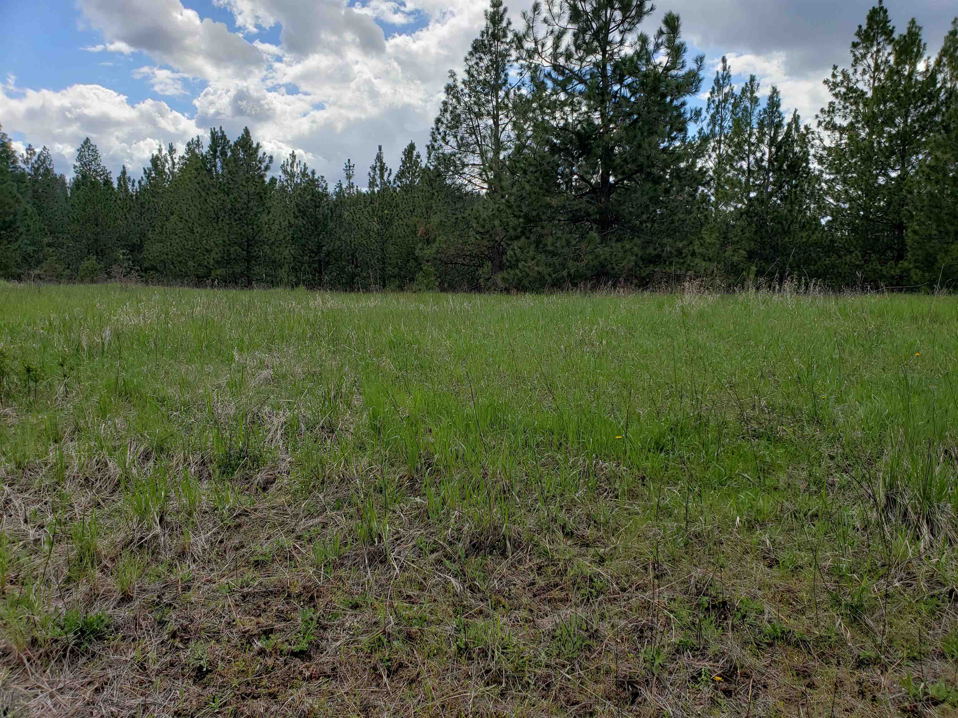Nka East Belmont Road Mica, WA 99023 - Photo 9 of 18