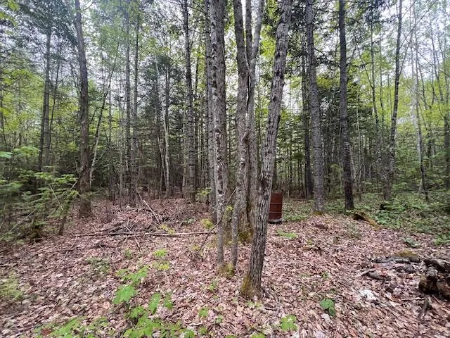 $22,000 | 11-2 Bangor Road, Linneus, ME 04730