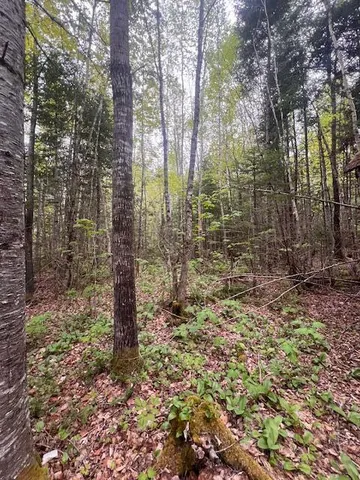 $22,000 | 11-2 Bangor Road, Linneus, ME 04730