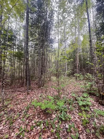 $22,000 | 11-2 Bangor Road, Linneus, ME 04730