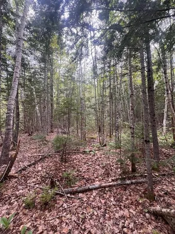 $22,000 | 11-2 Bangor Road, Linneus, ME 04730