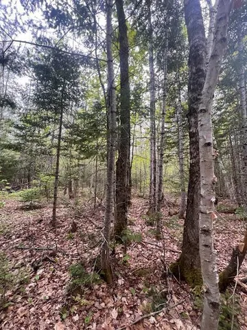 $22,000 | 11-2 Bangor Road, Linneus, ME 04730