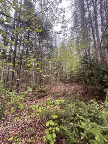 $22,000 | 11-2 Bangor Road, Linneus, ME 04730