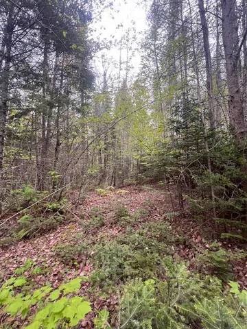 $22,000 | 11-2 Bangor Road, Linneus, ME 04730