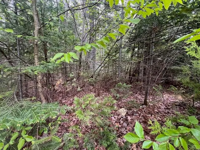 $22,000 | 11-2 Bangor Road, Linneus, ME 04730