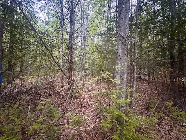 $22,000 | 11-2 Bangor Road, Linneus, ME 04730