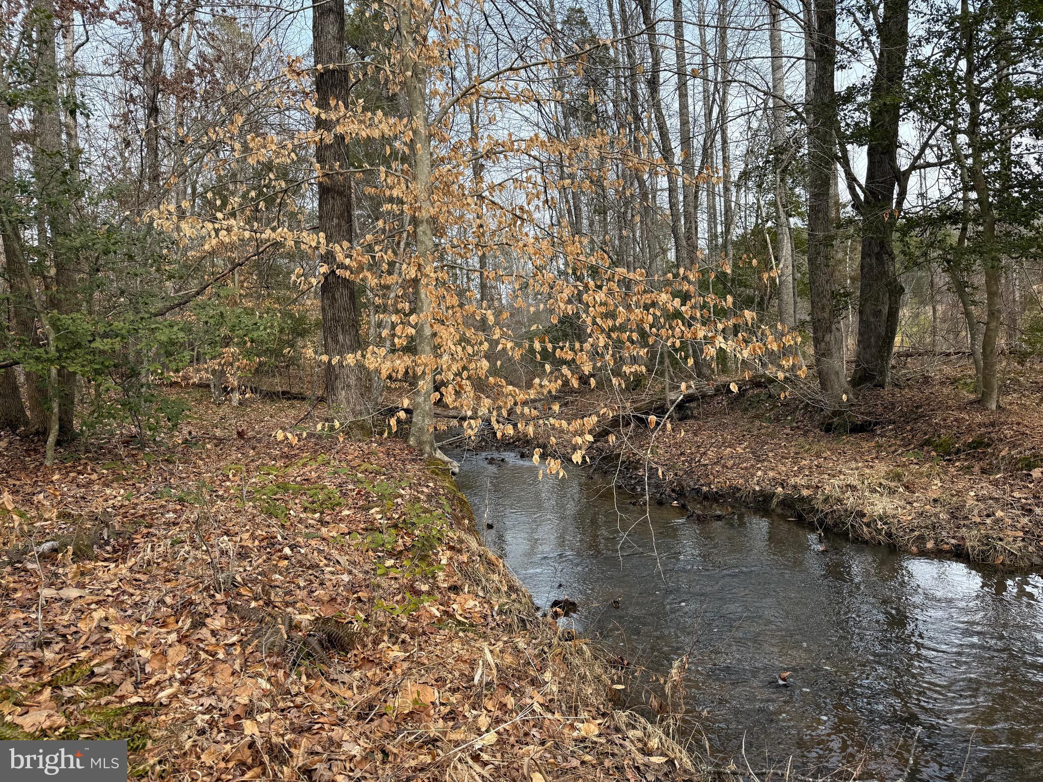 1 Community House Road Kents Store, VA 23084 - Photo 11 of 46